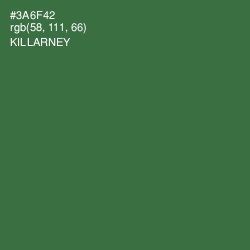 #3A6F42 - Killarney Color Image
