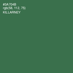 #3A704B - Killarney Color Image