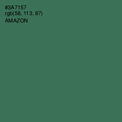 #3A7157 - Amazon Color Image