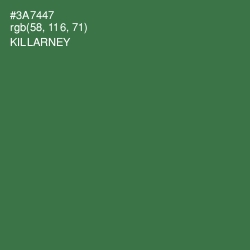 #3A7447 - Killarney Color Image