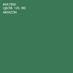 #3A7856 - Amazon Color Image