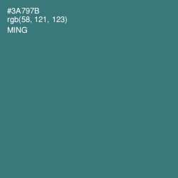 #3A797B - Ming Color Image