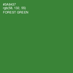 #3A8437 - Forest Green Color Image