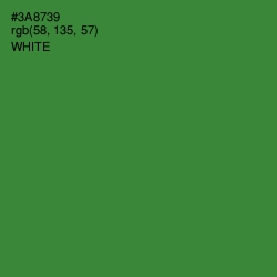 #3A8739 - Forest Green Color Image