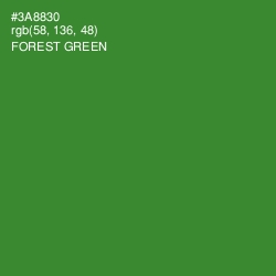 #3A8830 - Forest Green Color Image