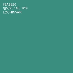 #3A8E80 - Lochinvar Color Image