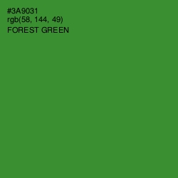 #3A9031 - Forest Green Color Image