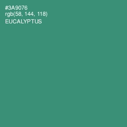 #3A9076 - Eucalyptus Color Image