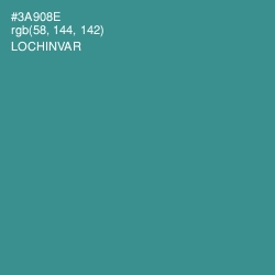 #3A908E - Lochinvar Color Image