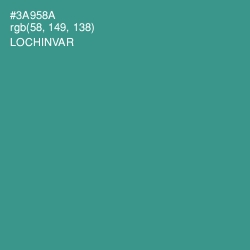 #3A958A - Lochinvar Color Image