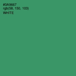 #3A9667 - Sea Green Color Image