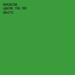 #3A9C3B - Forest Green Color Image