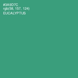 #3A9D7C - Eucalyptus Color Image