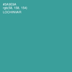 #3A9E9A - Lochinvar Color Image