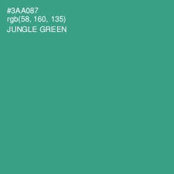 #3AA087 - Jungle Green Color Image