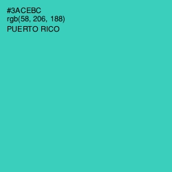 #3ACEBC - Puerto Rico Color Image