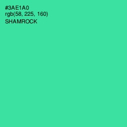 #3AE1A0 - Shamrock Color Image