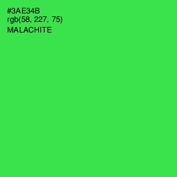 #3AE34B - Malachite Color Image