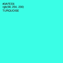 #3AFEE6 - Turquoise Color Image