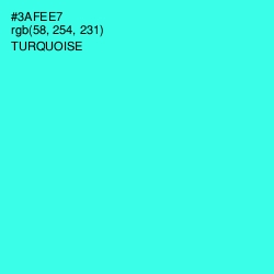 #3AFEE7 - Turquoise Color Image
