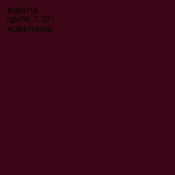 #3B0716 - Aubergine Color Image