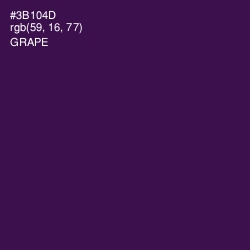 #3B104D - Grape Color Image