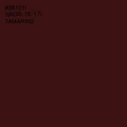 #3B1211 - Tamarind Color Image