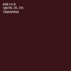 #3B141A - Tamarind Color Image