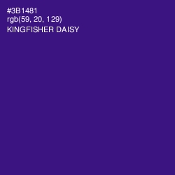 #3B1481 - Kingfisher Daisy Color Image