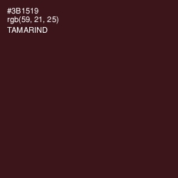 #3B1519 - Tamarind Color Image