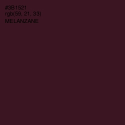 #3B1521 - Melanzane Color Image