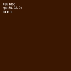 #3B1600 - Rebel Color Image