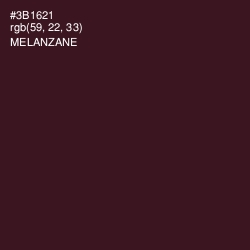 #3B1621 - Melanzane Color Image