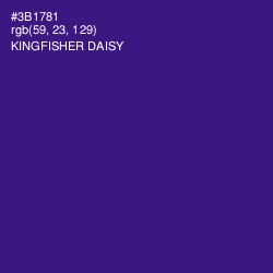 #3B1781 - Kingfisher Daisy Color Image