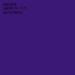 #3B1875 - Meteorite Color Image