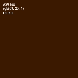 #3B1901 - Rebel Color Image