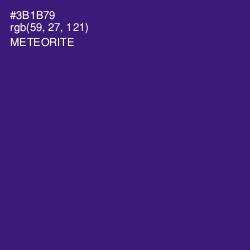 #3B1B79 - Meteorite Color Image