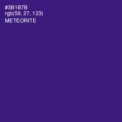 #3B1B7B - Meteorite Color Image
