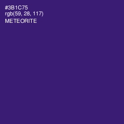 #3B1C75 - Meteorite Color Image