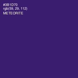 #3B1D70 - Meteorite Color Image