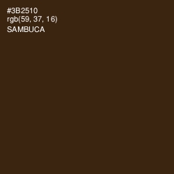 #3B2510 - Sambuca Color Image