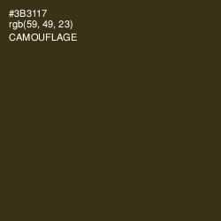 #3B3117 - Camouflage Color Image