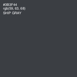 #3B3F44 - Ship Gray Color Image