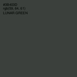 #3B403D - Lunar Green Color Image