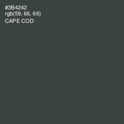 #3B4242 - Cape Cod Color Image