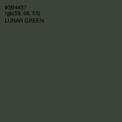 #3B4437 - Lunar Green Color Image