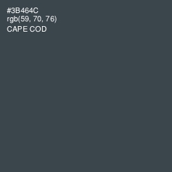 #3B464C - Cape Cod Color Image