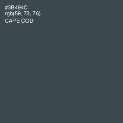#3B494C - Cape Cod Color Image