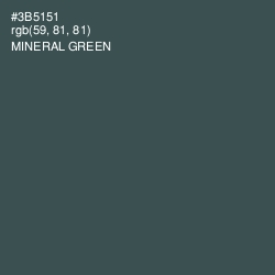 #3B5151 - Mineral Green Color Image