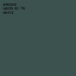 #3B524E - Limed Spruce Color Image